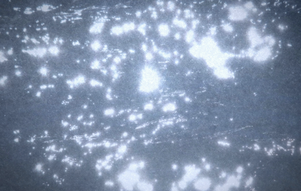 Matter/Anti-Matter: Recent Work by Makino Takashi