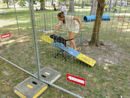 Humane Society Doggie Carnival