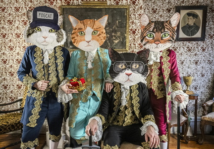 Fantastic Cat