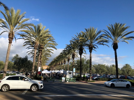 Mother’s Day Market