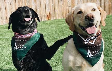 Pet Fest - Penn Medicine Park