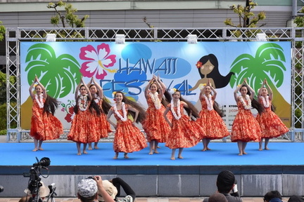 Hawaii Festival