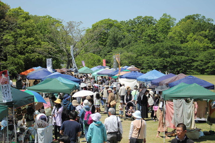 201605061147481744