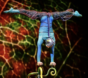 Cirque du Soleil