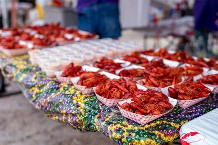 Crawfish-1