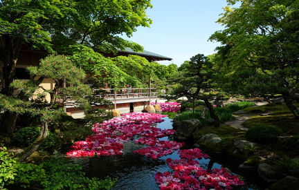 Peony Garden