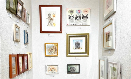 Cat Exhibition 2025