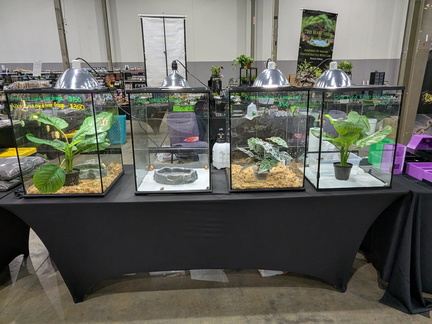Nashville All American Reptile &amp; Plant Expo