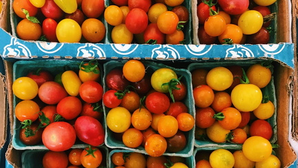 Haile Farmers Market