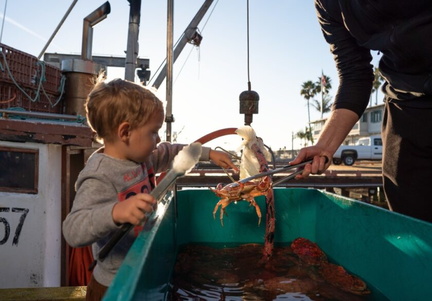 Fishermen’s Market