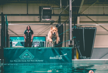 Victoria Pet Expo