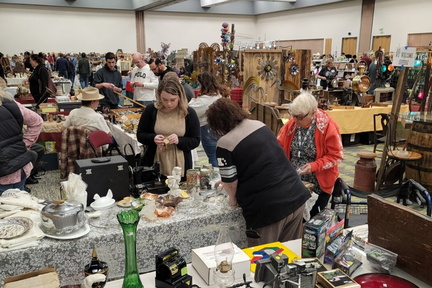 Reno Collectibles Show (2)