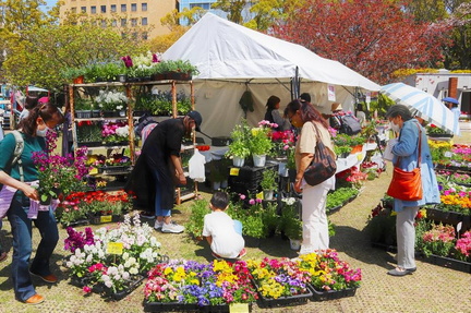 The 47th Yokohama Flower and Green Spring Fair 2025