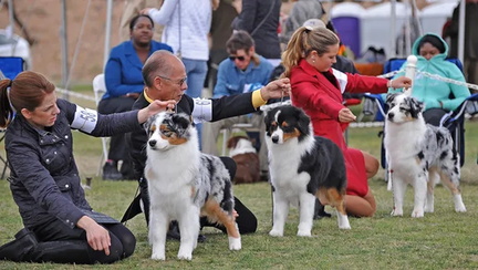 Fiesta Dog Shows - WestWorld of Scottsdale.v1