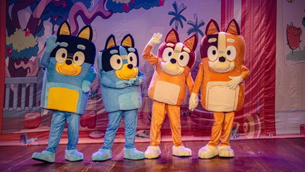 Bluey en Vivo