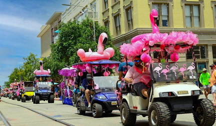Annual Flamingo Fest