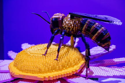 Curiosity Building Breakthroughs in LEGO® Bricks