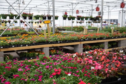Spring For Mom - Green Acres Nursery &amp; Supply