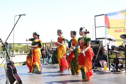Multicultural Festival