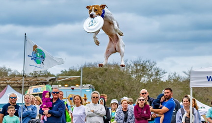 Ft Myers Blueberry Fest