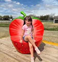 Strawberry Fest