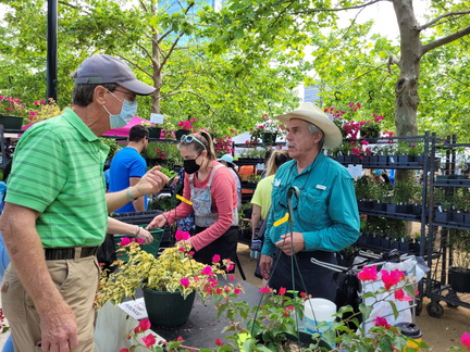 Flowers & Gardens Festival