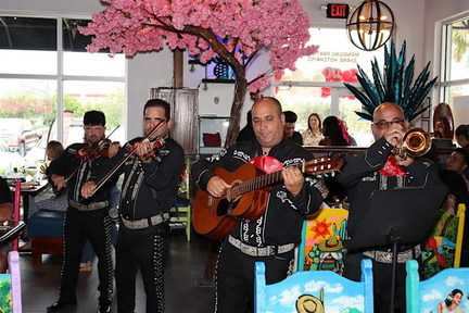 Cinco de Mayo Celebration!