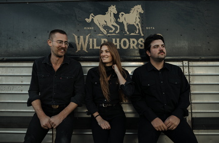 Wild Horses In Concert