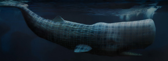 LS2023-015-The-Whale Chris-Burke dig large-1920x700