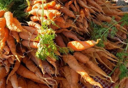 Farmers Market - Elmwood-Bidwell Farmers' Market