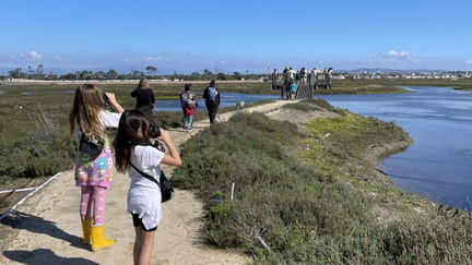 Interpretive Center and Marsh Tour