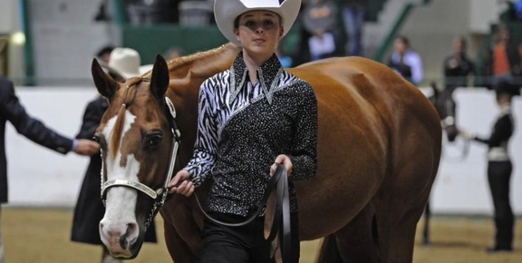 Great Plains Arabian Classic1
