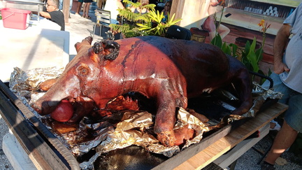 Annual Pig Roast