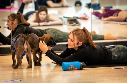 Rescue Puppy Yoga