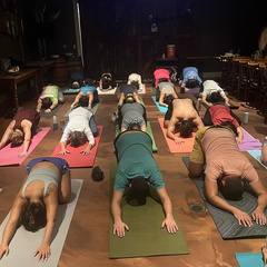 Ales &amp; Asanas Yoga