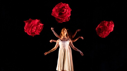1-momix__large