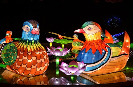 Glow Wild Chinese Lantern Festival