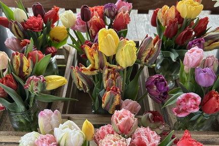 Mothers Day BYOBB Weekend