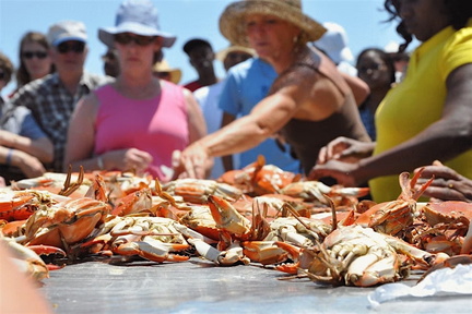 Lowcountry Crab Crack &amp; Oyster Roast