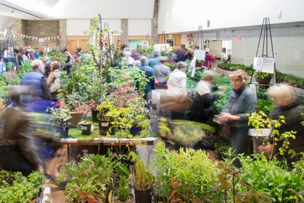 TBG-Plant-Sale-Danemark-Photographic-Art