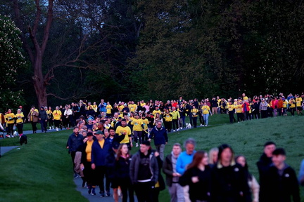 Pieta Darkness into Light