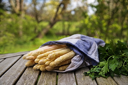 Spring and Asparagus Festival.v1