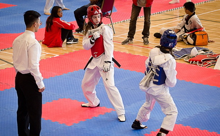 2025 Son’s Premier Taekwondo Championships