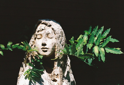 Sayaka Toda Exhibit