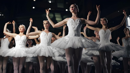 Swan Lake