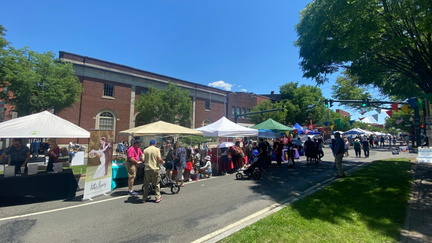 Dunbury street Festival