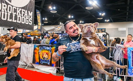 Bulldog Showcase