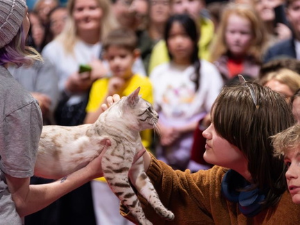 Oz Feline Fair &amp; Catstravaganza