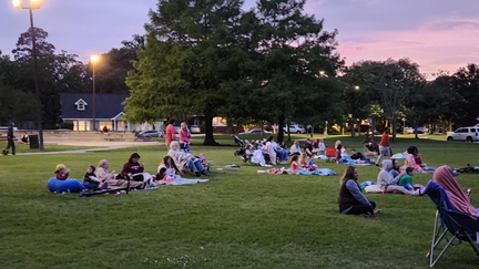Sunset Movies in the Park
