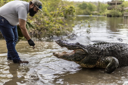 Gatorpalooza Fun Fest